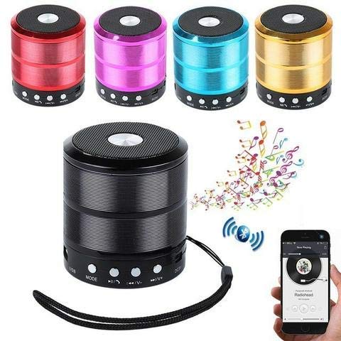Mini Bluetooth Speaker WS-887 with FM Radio